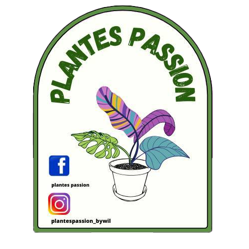 Plantes Passion